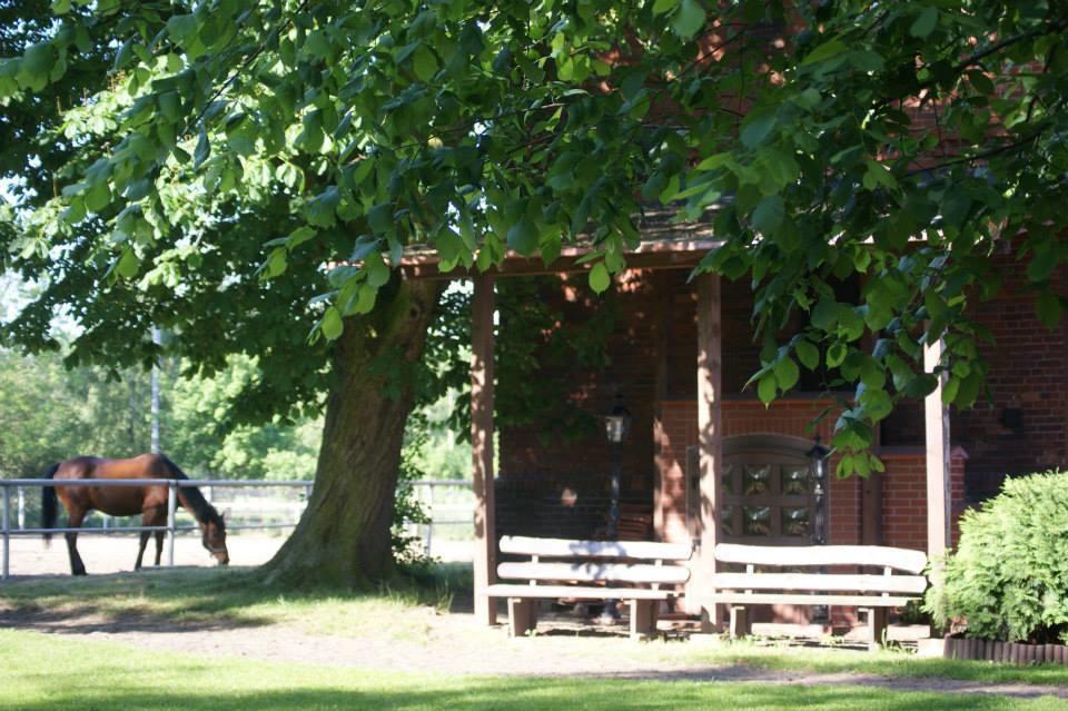 Hostel Milosz Grabowiec  Exterior foto